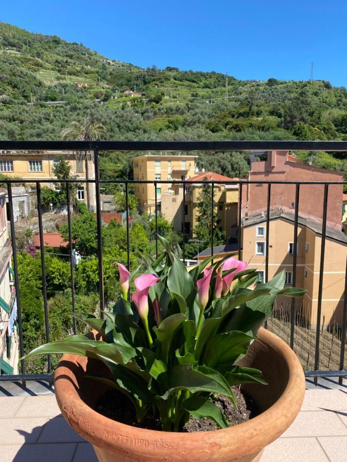 La Terrazza Di Monterosso Apartment Monterosso al Mare Luaran gambar