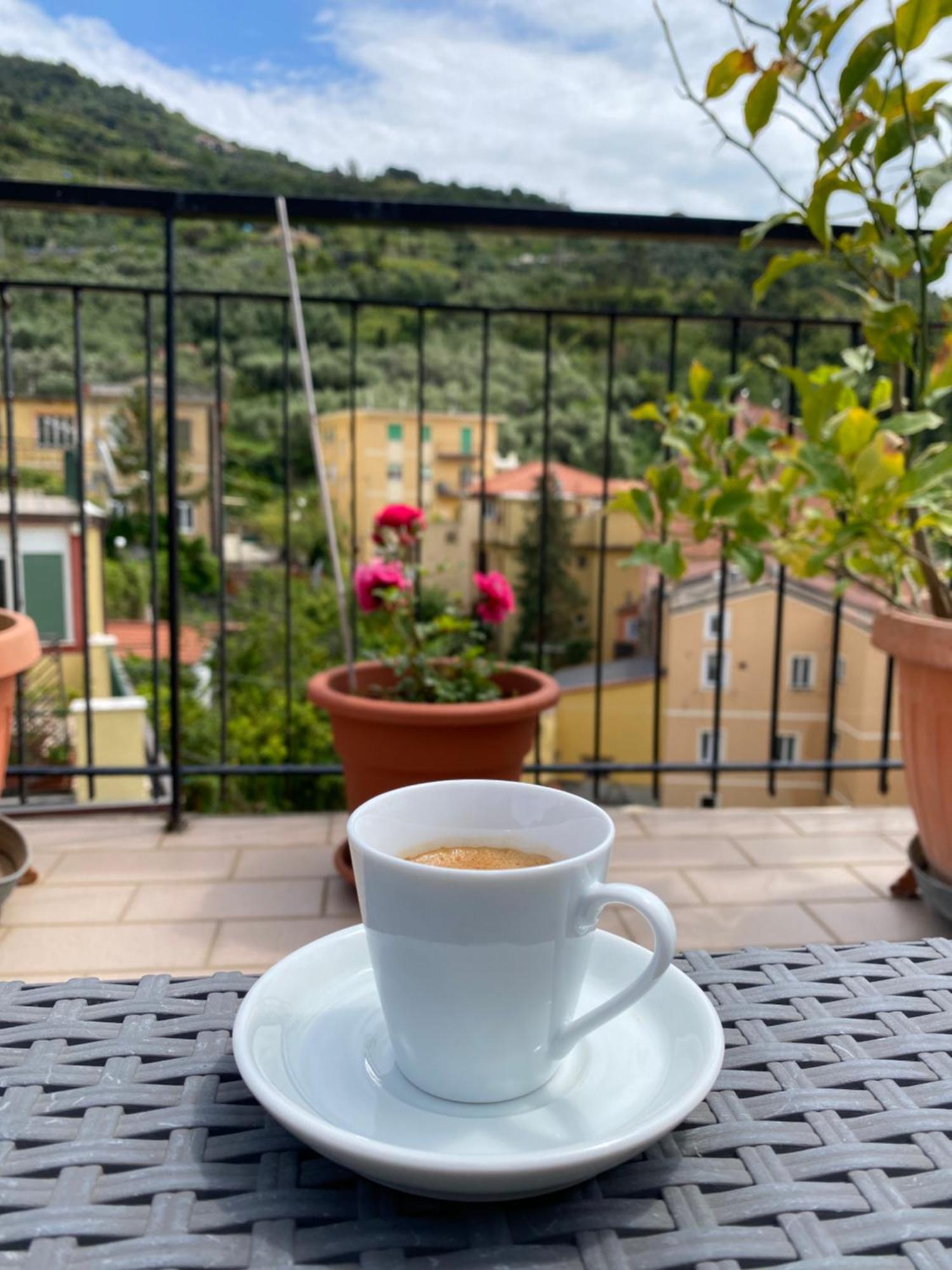 La Terrazza Di Monterosso Apartment Monterosso al Mare Luaran gambar