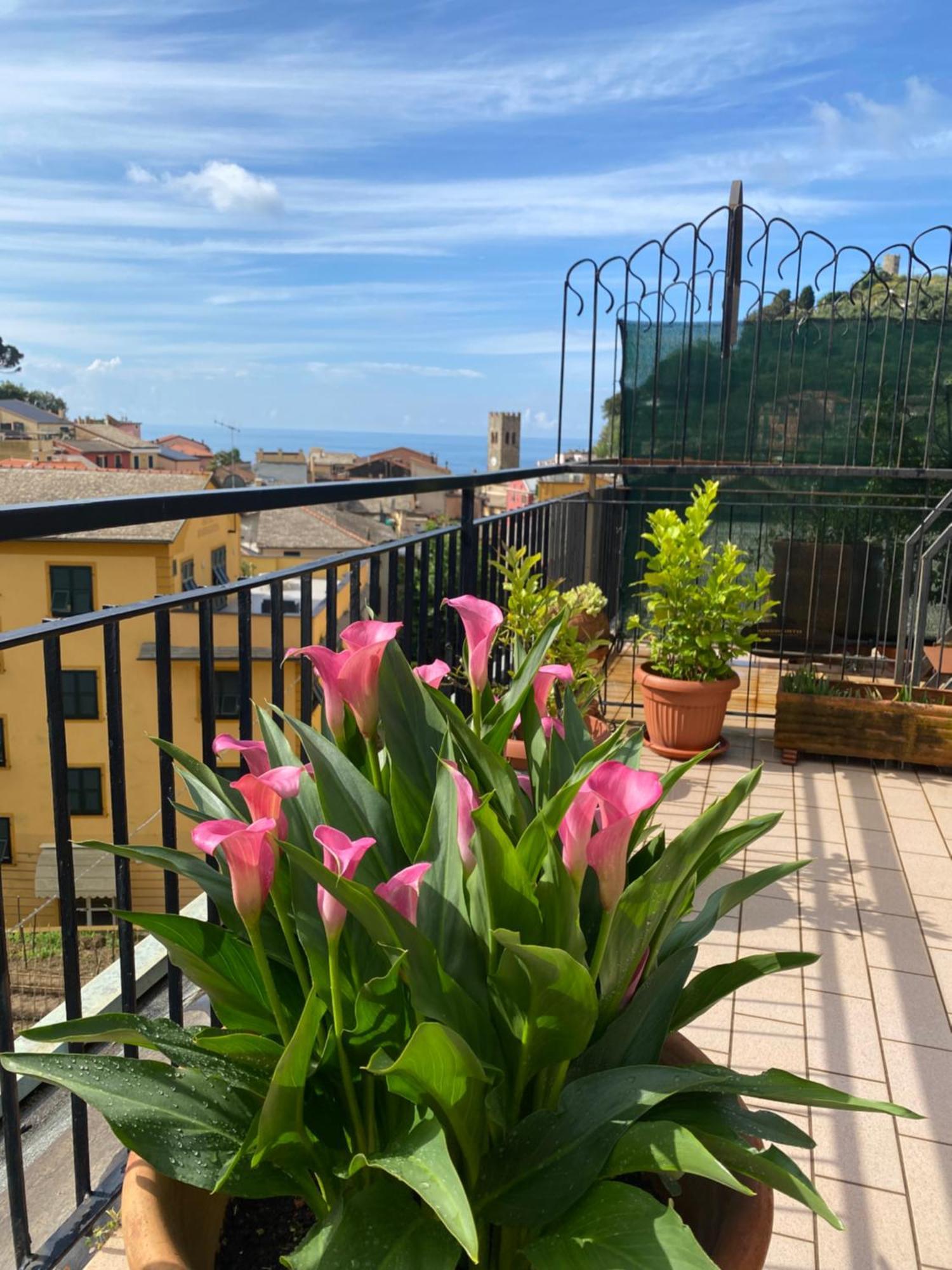 La Terrazza Di Monterosso Apartment Monterosso al Mare Luaran gambar